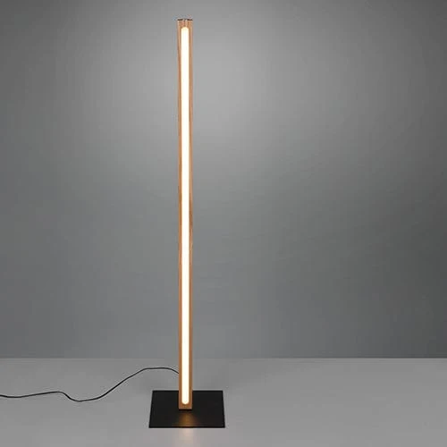 Lampadaire Intérieure