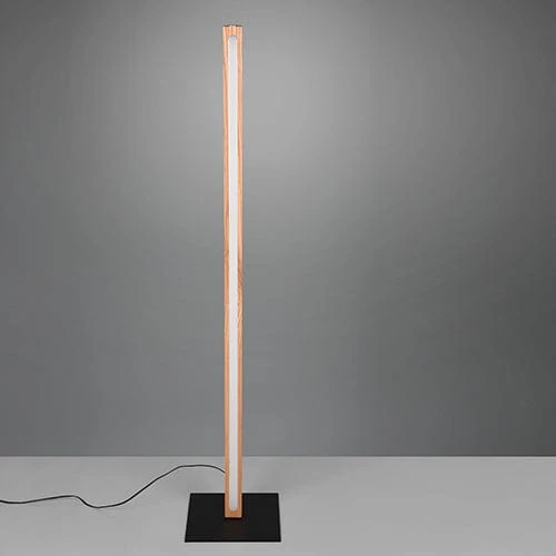 Lampadaire Intérieure