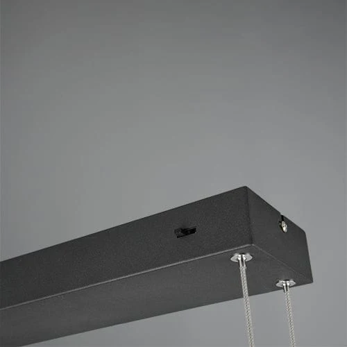Suspension Luminaire Plate