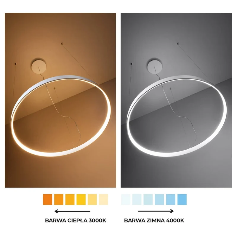 Luminaire Suspendu Cercle