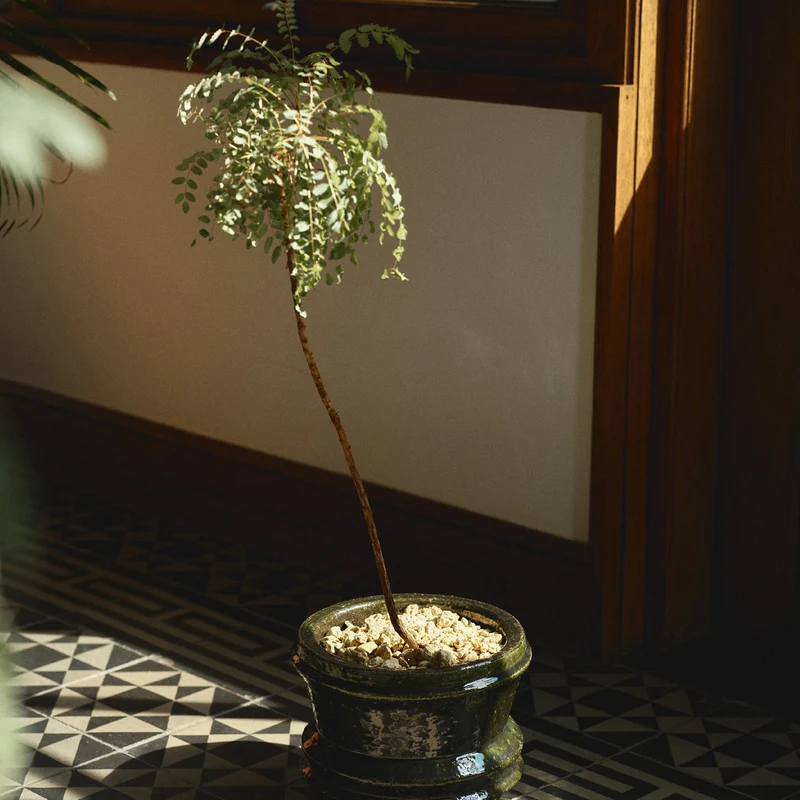 Serax Mesa Planter 01