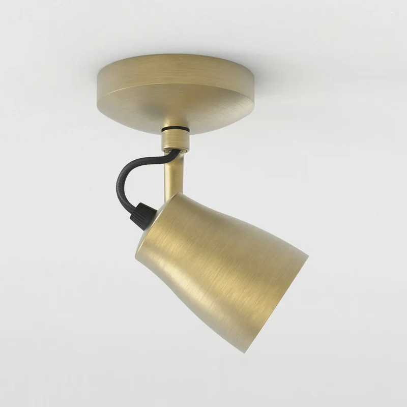 Astro Juno Single Surface Spotlight