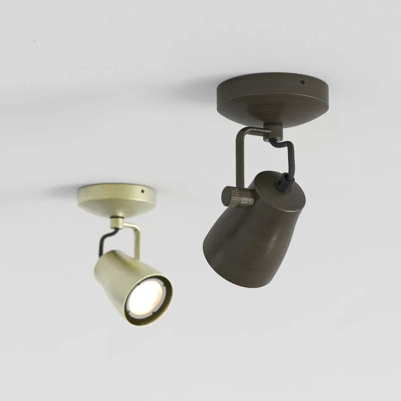 Astro Juno Single Surface Spotlight