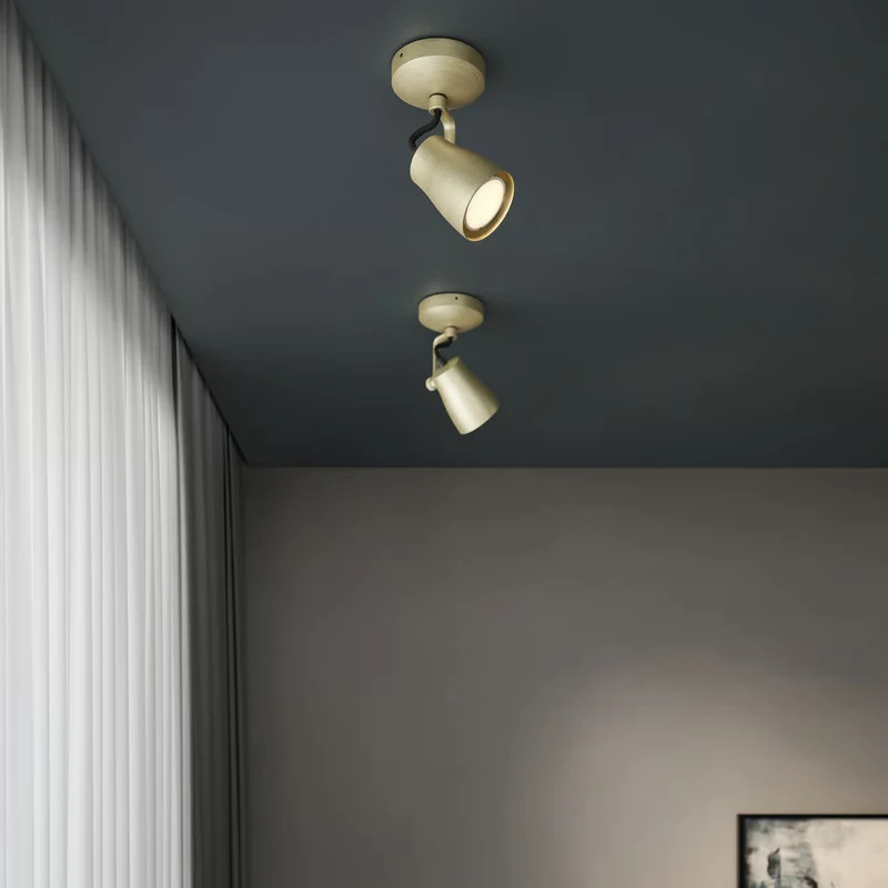 Astro Juno Single Surface Spotlight