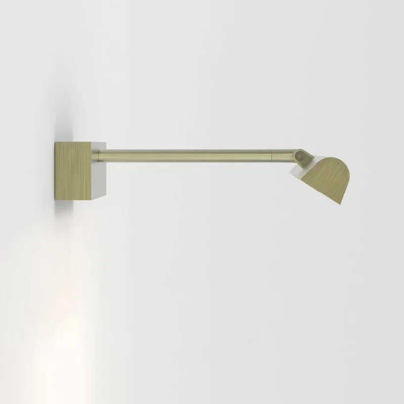 Astro Renoir Picture Light