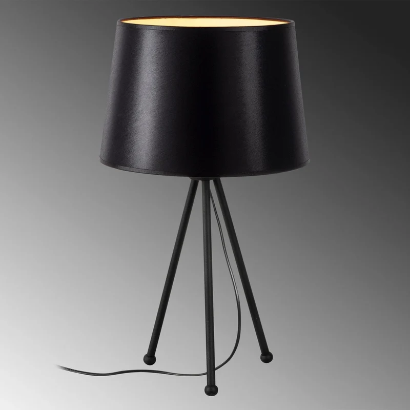 Lampe Lecture