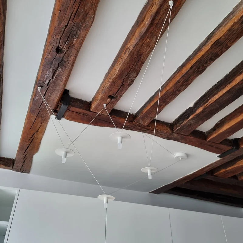 OliveLab D02 4 Lights Pendant Lamp