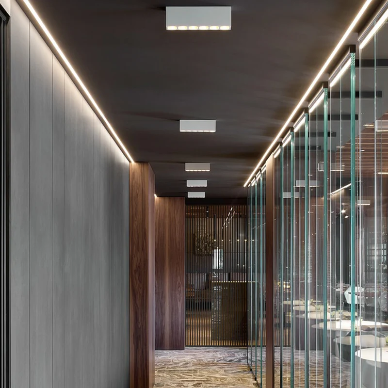 Wever & Ducre Pirro Petit Spotlight