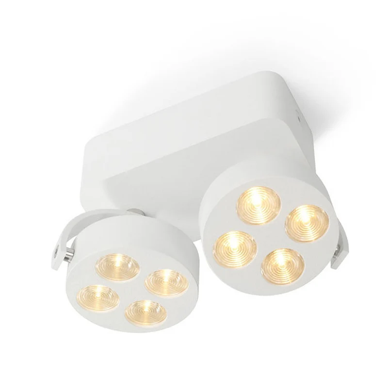 Trizo21 Mini-Pi 2 Up Surface Spotlight
