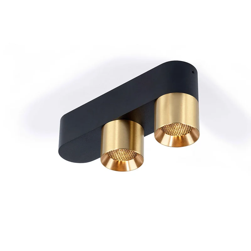 Trizo21 Audy-Duo 2 Up Rounded Surface Spotlight