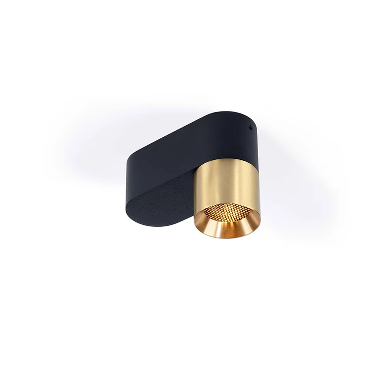 Trizo21 Audy-Duo 1 Up Rounded Surface Spotlight