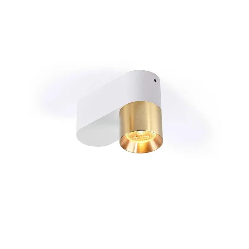 Trizo21 Audy-Duo 1 Up Rounded Surface Spotlight