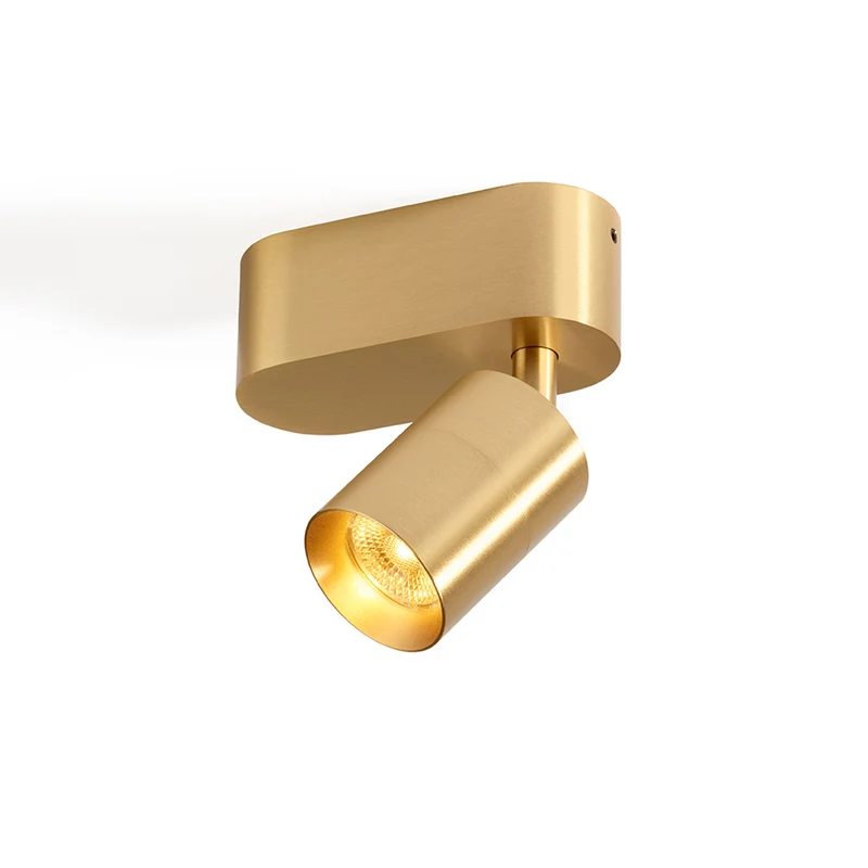 Trizo21 Audette 1 Up Rounded Surface Spotlight
