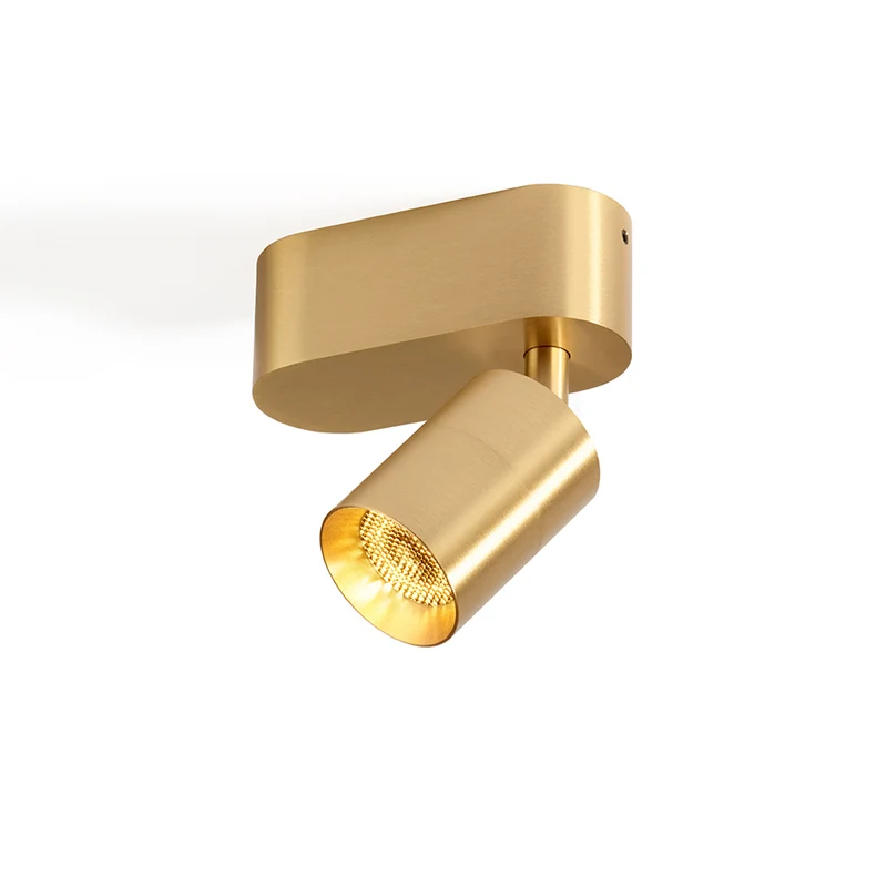 Trizo21 Audette 1 Up Rounded Surface Spotlight