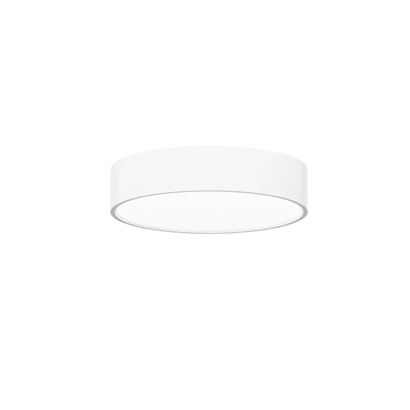 Beneito Faure Tot Pendant / Surface Lamp
