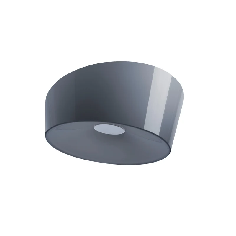 Foscarini Lumiere Wall / Ceiling Lamp