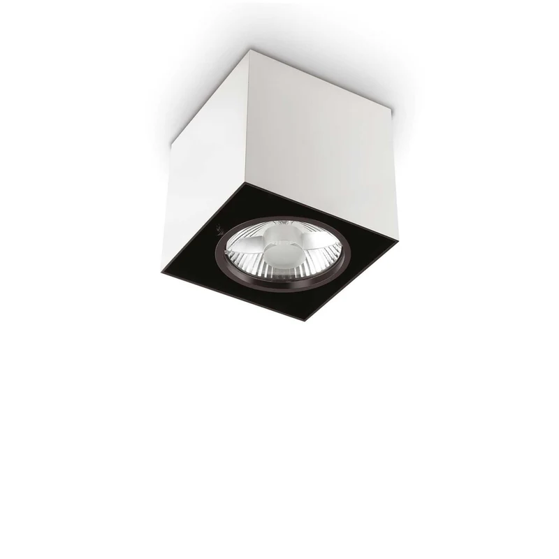Spot Applique Plafond