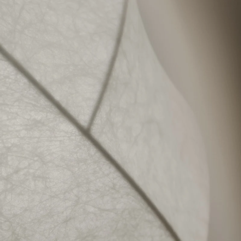 Pholc Turner Pendant Lamp