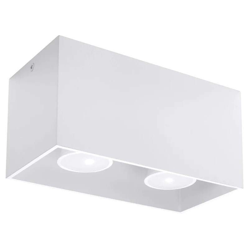 Plafonnier 2 Lampes