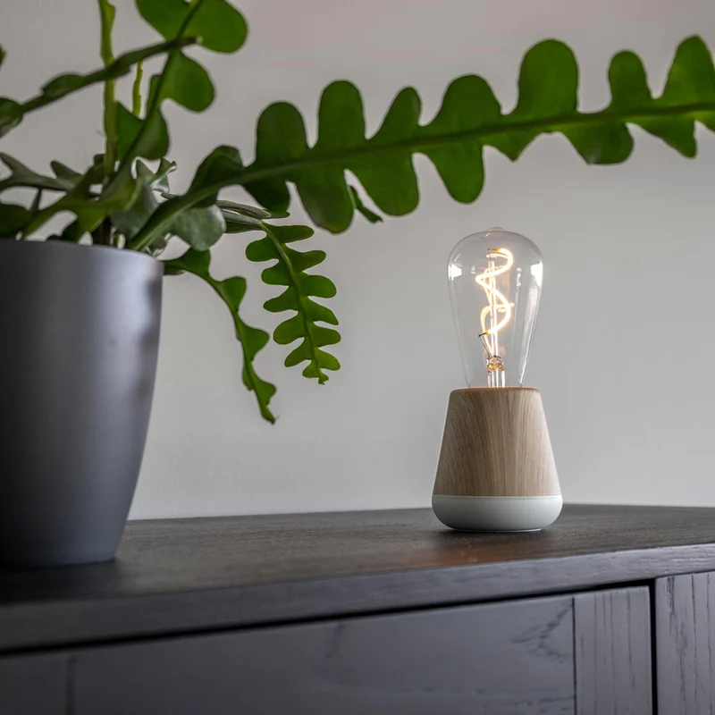 Humble One Portable Lamp