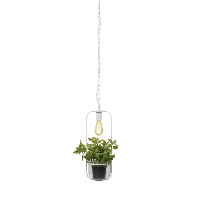 Suspension Plante Interieur