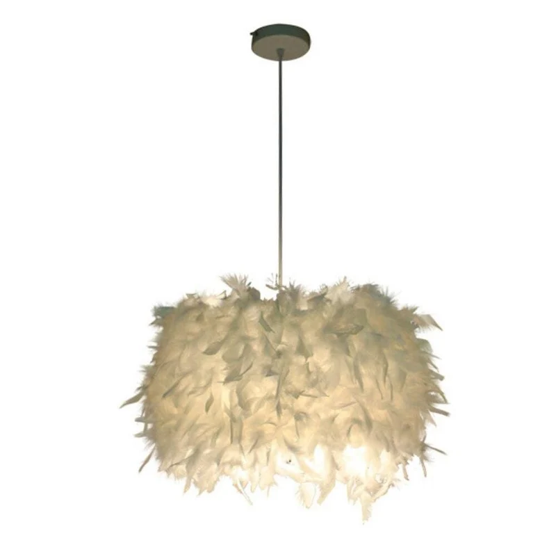 Lustre En Plume Pas Cher