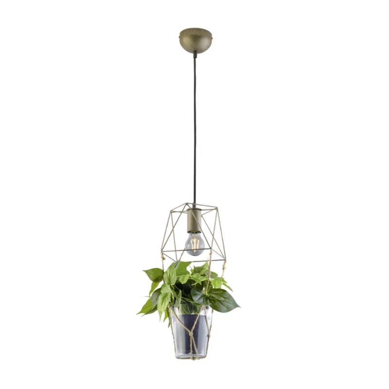 Plante Verte Suspension