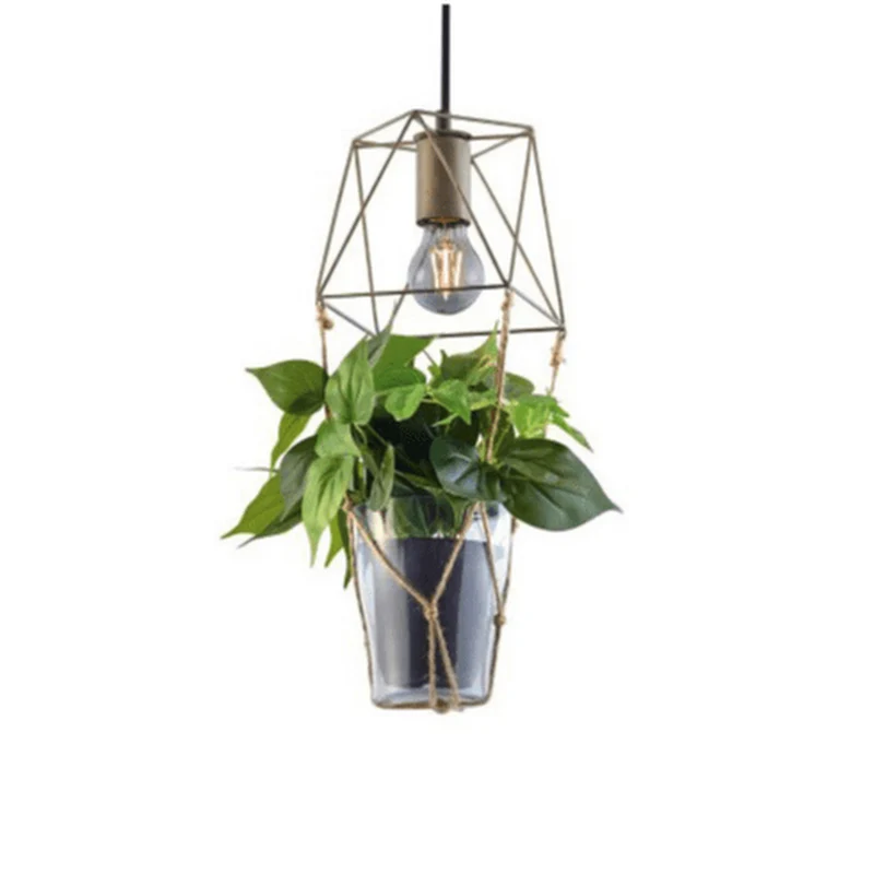 Plante Verte Suspension