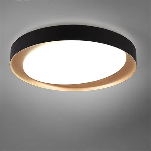 Plafonnier Led Puissant