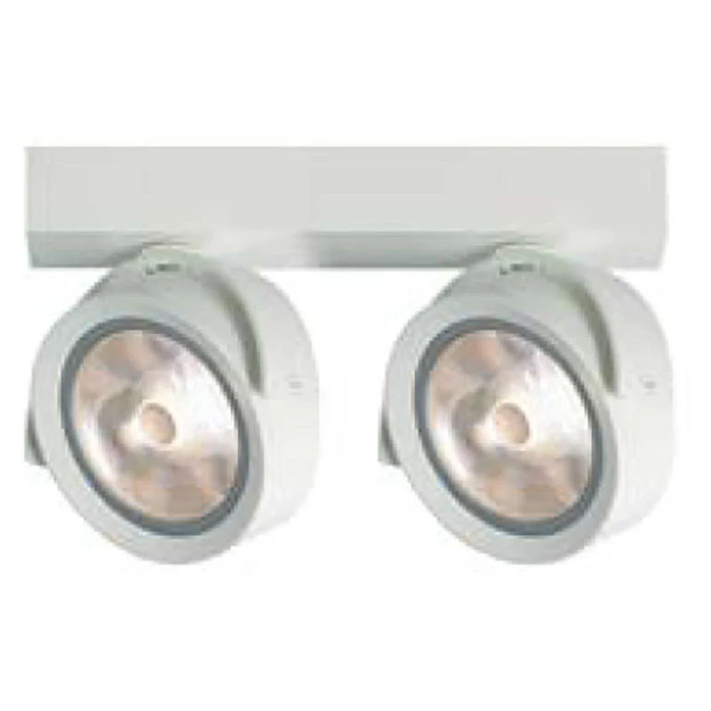 Raat Froggy Ceiling Spot