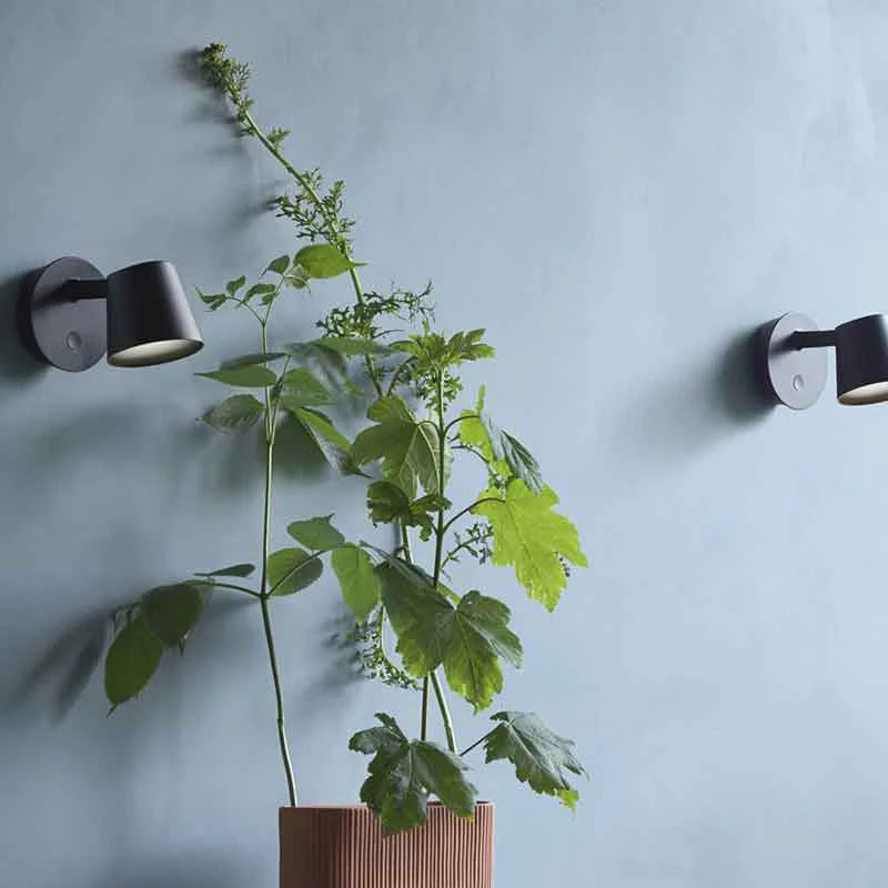 Muuto Tip Wall Lamp