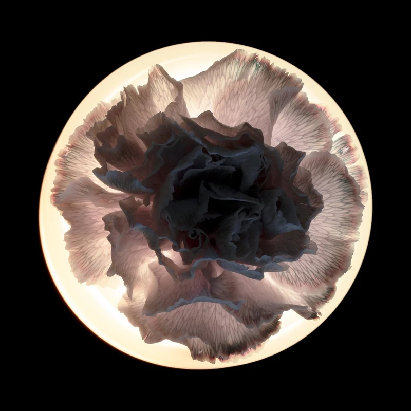 Serax Lara Vase & Table Lamp - Ann Demeulemeester
