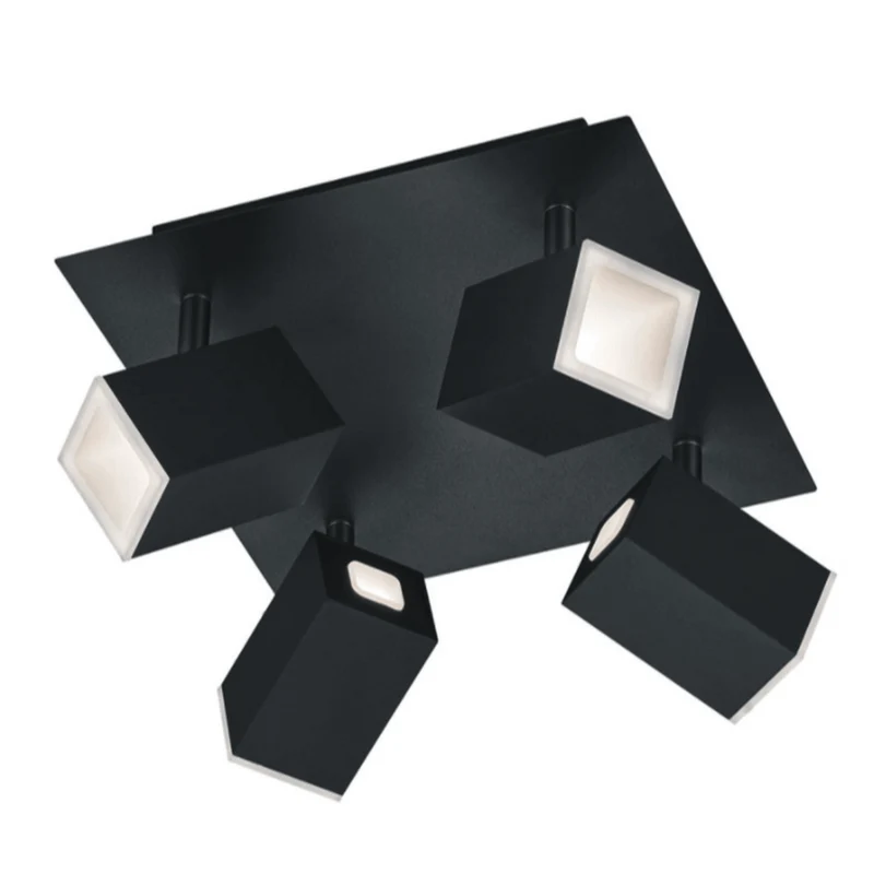 Spot Noir Plafond