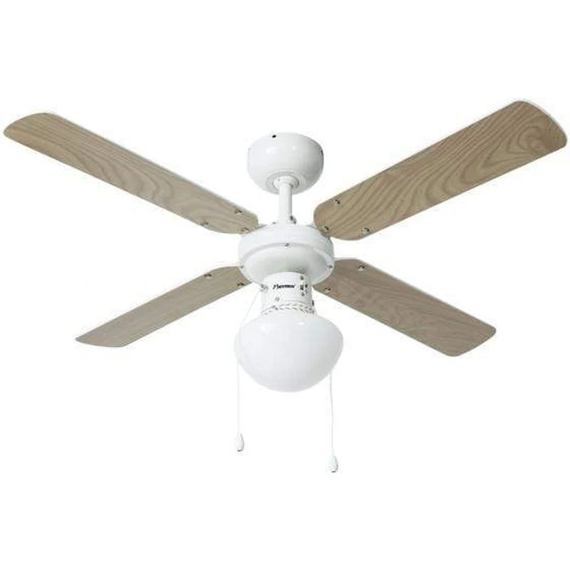 Ventilateur De Plafond Design