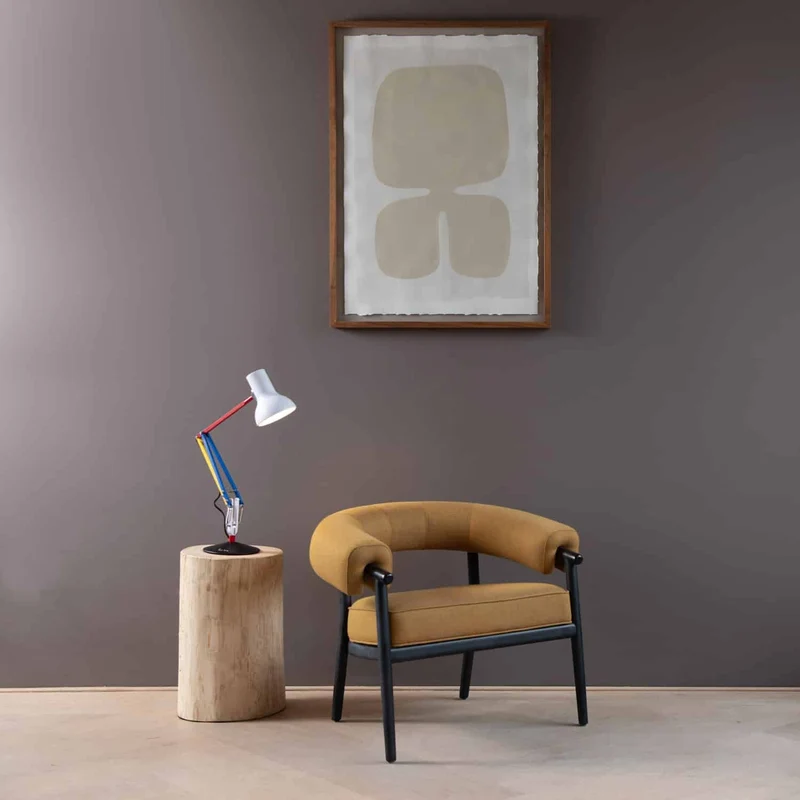 Anglepoise Type 75 Mini Desk Lamp - Paul Smith Edition